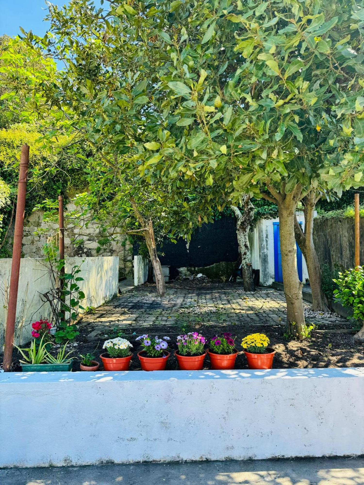 فندق Porto Grand Sasimi House المظهر الخارجي الصورة